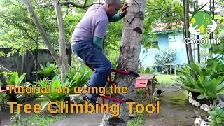 Tutorial on using the Tree Climbing Tool