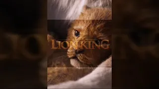 The Lion King 2019/ King of Pride Rock