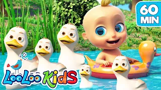 Five Little Ducks | LooLoo Kids Nursery Rhymes and Children`s Songs