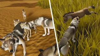NEW Mexican Gray Wolf & Coyote ADDED, Latching & Dodging Mechanic Update | Sonora