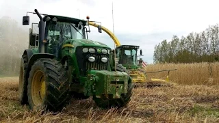 John Deere 7350 / Fendt 724 / John Deere 7730 / Claas Axion / Fliegl à l'ensilage de Miscanthus