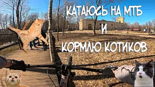 Катаюсь по городу с GoPro: Новая резина. День второй - катаемся и кормим котов