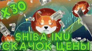 SHIBA INU НЕВЕРОЯТНЫЙ ВЗЛЕТ ЦЕНЫ! РОСТ СЖИГАНИЯ НА 300 000%! НО ПОЧЕМУ SHIBARIUM ПАДАЕТ?