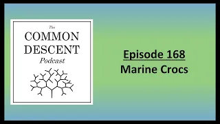 Episode 168 - Marine Crocs