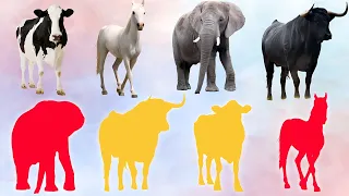 CUTE ANIMALS Elephant, Bull, Cow, Horse (Choose The Right Cow, Horse, Elephant, Bull