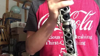 B+W Special Wood Clarinet ebay demo