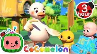 Practice Crossing The Street- Safe Traffic Song | Cocomelon - Nursery Rhymes | Fun Cartoons For Kids