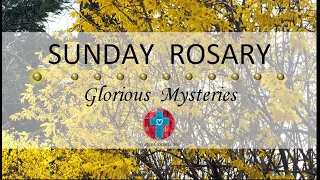 Sunday Rosary • Glorious Mysteries of the Rosary ❤️ April 14, 2024 VIRTUAL ROSARY - MEDITATION