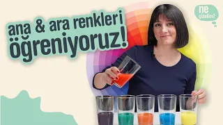 Ana – Ara Renkleri Öğreniyorum! 🔵🔴 Karışımlarla Öğreniyoruz: Okul Öncesi Resim Etkinliği