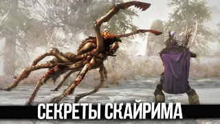 Skyrim Секреты и Интересные моменты, которые ты УПУСТИЛ