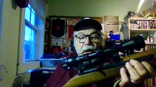 gun video 50: Chiappa M1-22