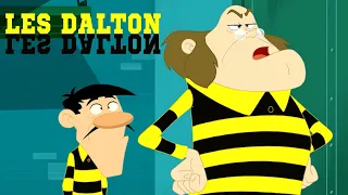 Les Dalton | Le nouveau prisonnier | Compilation en HD (FR)