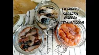 ВКУСНЫЙ ПОСОЛ СКУМБРИИ, СЕЛЕДКИ, ФОРЕЛИ!!!!  БЫСТРЫЙ ЗАСОЛ РЫБЫ!! СУХОЙ ПОСОЛ РЫБЫ!!