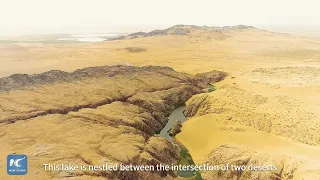 An oasis in north China desert
