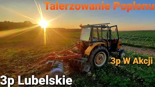 Talerzowanie poplonu 2020!!! Ursus c360 3p & Famarol