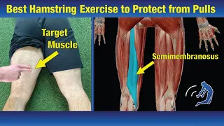 Best Hamstring Exercise Ever to Protect from Pulls - Never Injure Legs/Hips Again (Part 4/5)