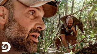 Ed sente falta de proteínas e tenta caçar porco | Ed Stafford: Desafio em Família | Discovery Brasil