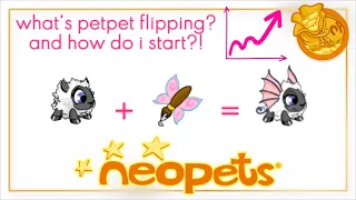 a beginner's guide to petpet flipping! — a neopets guide