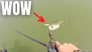 This BIG BAIT Is Absolutely PHENOMENAL (You Can Do This)