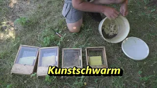 Kunstschwarm