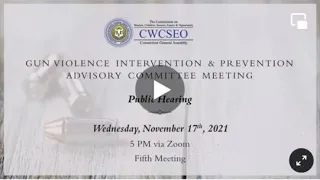 Gun Violence Intervention and Prevention Advisory Committee Public Hearing