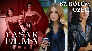 Yasak Elma 87. Bölüm Özeti