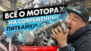 Всё о китайских моторах для ПИТБАЙКОВ! YX, Zongshen, Daytona - выбираем лучший двигатель.