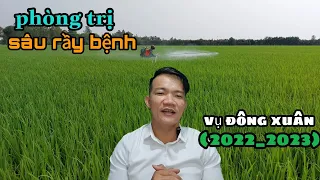 Cách phòng trị sâu rầy bệnh trong vụ đông xuân (2022_2023)#4 Thanhdotv