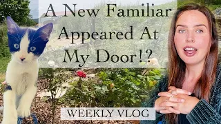 Week in the Life of a Witch / Meet My New Familiar / Homestead Weekly Vlog 🧙🏻‍♀️