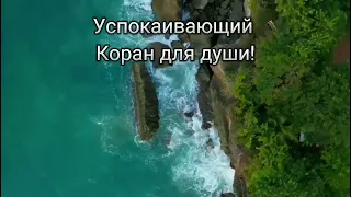 Коран успокаивающий душу! Слушайте перед сном!