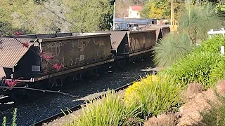 Coal train No. 9602 meets Westlander at Spring Bluff (Mum's footage)