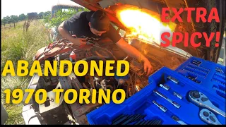 Will it Run? ABANDONED 1970 Ford Torino "GT" Revive and Drive — TOTAL FAIL!