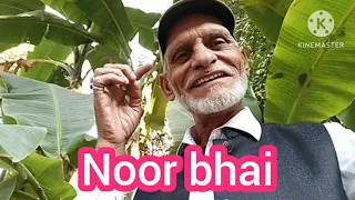 Meri jindagi mein aate old song Noor bhai