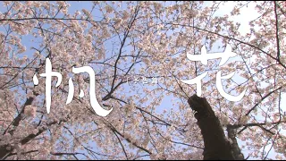 映画『帆花』予告編／2022年1月2日（日）公開