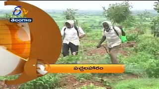 7-30 AM | ETV 360 | News Headlines |14th August 2022 | ETV Telangana