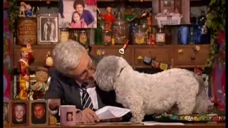 Paul announces Buster's death and gets very emotional - Paul O'Grady Show 23rd November 2009