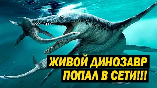 ЖИВОЙ ДИНОЗАВР ПОПАЛ В СЕТИ!!!