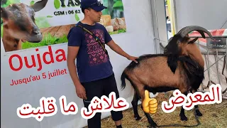 المعرض الجهوي للإقتصاد الاجتماعي و التعاوني#وجدة #oujda #maroc #