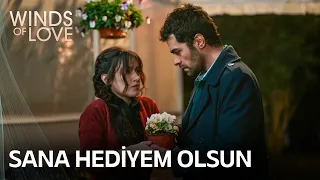 Zeynep's gift for Halil 🪴 | Winds of Love Episode 37 (MULTI SUB)