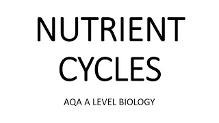 NUTRIENT CYCLES - AQA A LEVEL BIOLOGY + EXAM QUESTIONS RUN THROUGH