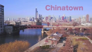 Chinese New Year: A Chicago Celebration