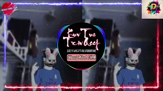 Kuv tus txiv qeej Remix - Lily Vang ft DeathRhyme | Nkauj Htrol EDM