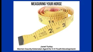 Measuring your Horse for Blanket