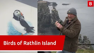 Birds of Rathlin Island | Puffin and Corncrake conservation