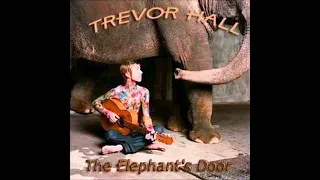 Trevor Hall - The Elepant's Door Full Album