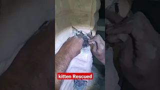 India, Kitten Stuck in Pipe is Rescued by Rescue Foundation of Gujarat Oregon