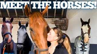 MEET THE HORSES! - And I answer your questions about them - Eventing, Goals, Breeding, Our Story.