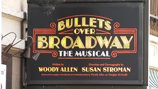 Broadway Signboards 1_Вывески бродвейные_Footage 260