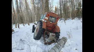 Зимние приключения трактора Т 40 в лесу в 2021 году. Вырубка леса с лебедкой.