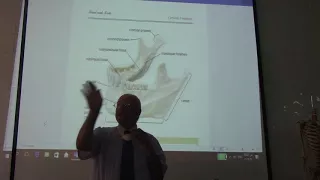 Anatomy of head & neck 15 (Mandible  , part 1 ) , by Dr. Wahdan